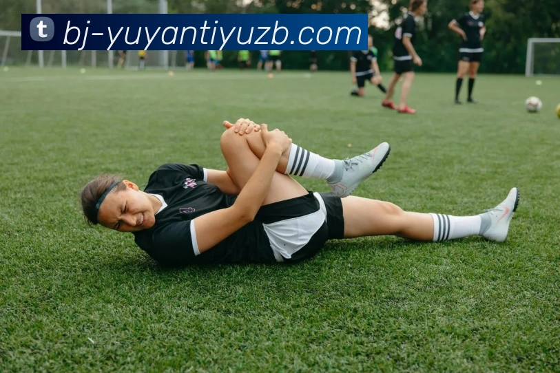 雨燕体育直播发展历程