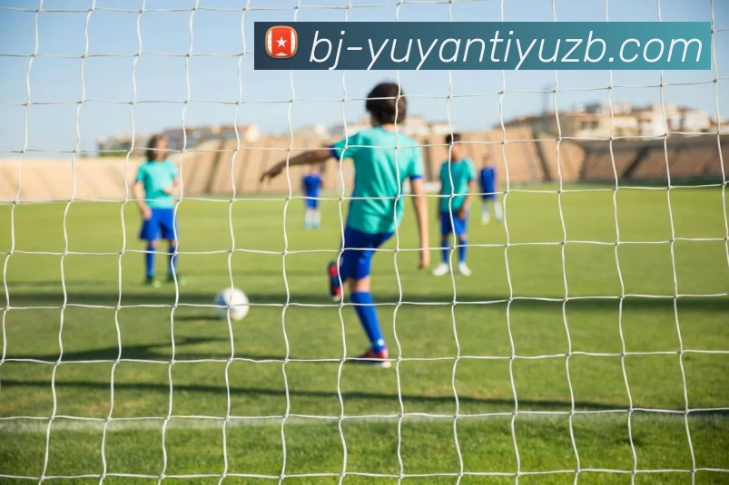 多媒体互动体验